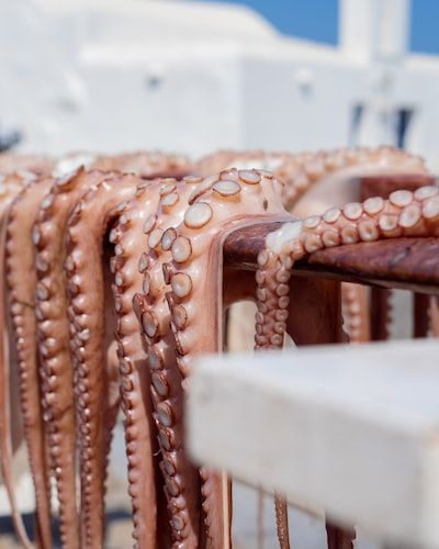 La recette idéale de poulpe à la plancha - Journaldelacuisine